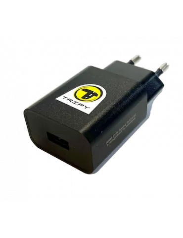 Chargeur usbA 100-240V 50/60Hz