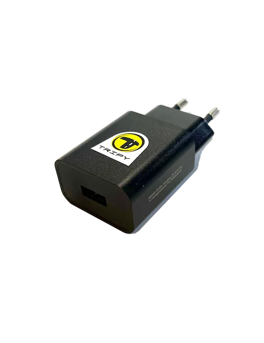 Chargeur usbA 100-240V 50/60Hz